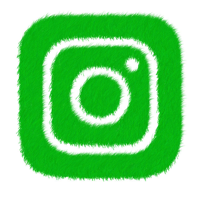 social network