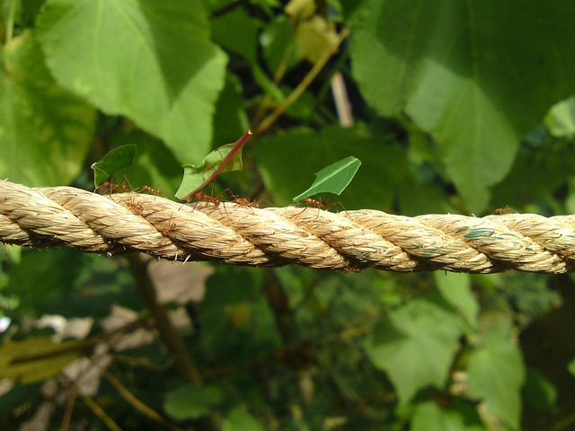 work-640x480-16005023.jpeg