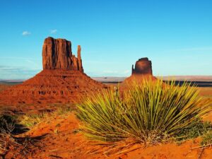 arizona-640x480-10370570.jpeg