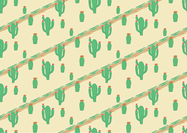 arizona