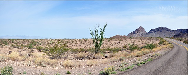 arizona