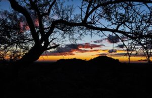 Thatcher SEO: Unlocking Local Success in Arizona