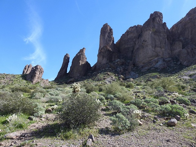 arizona