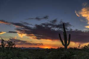 arizona-640x480-6679485.jpeg