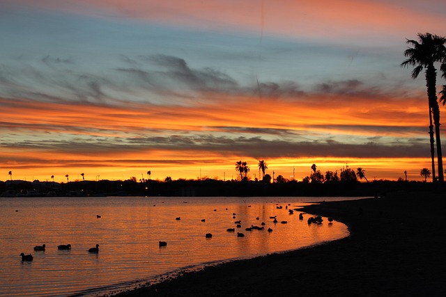 arizona-640x480-7391167.jpeg