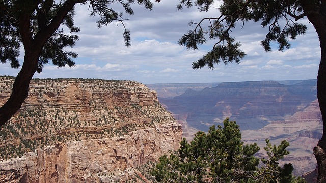 arizona