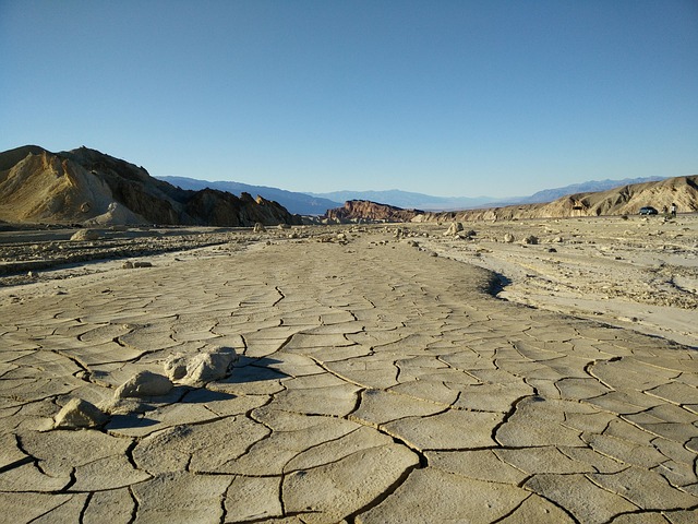 arizona landscape