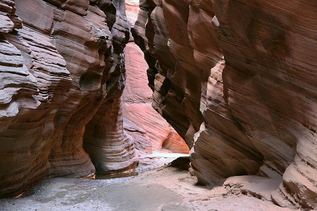 arizona landscape