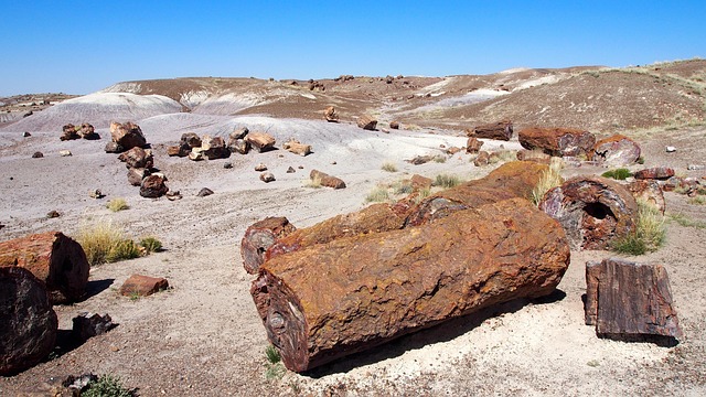 arizona landscape