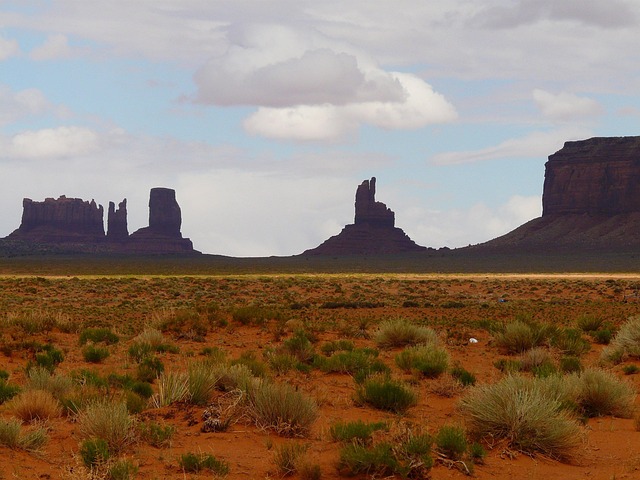 arizona landscape