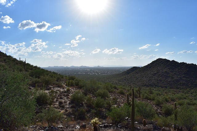 arizona landscape