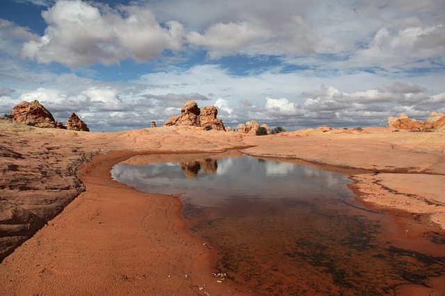 arizona landscape