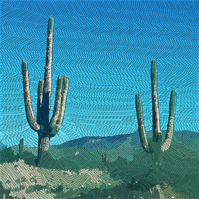 arizona landscape