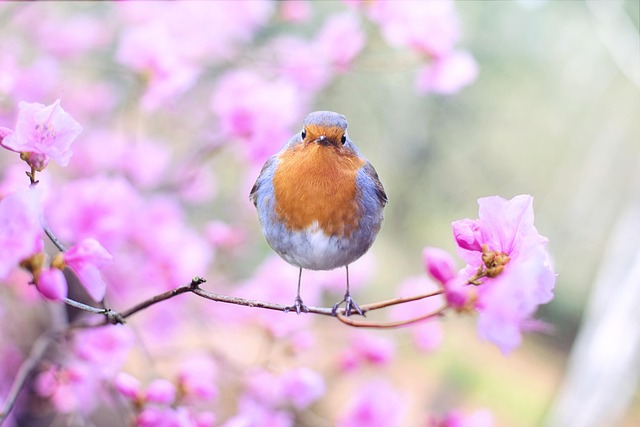 beauty-640x480-30557082.jpeg