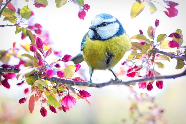 beauty-640x480-43214937.jpeg