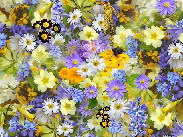 beauty-640x480-45038177.jpeg