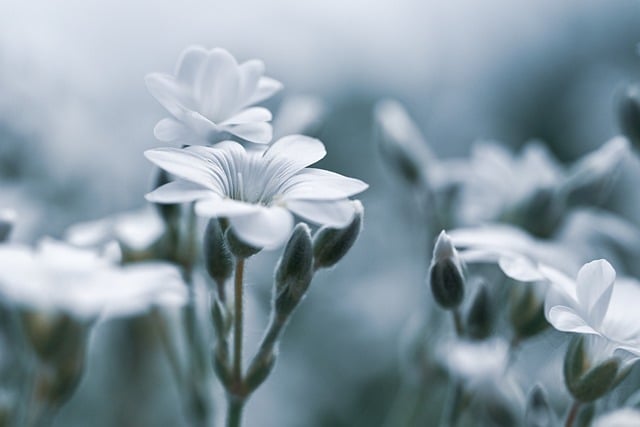 beauty-640x480-76772735.jpeg