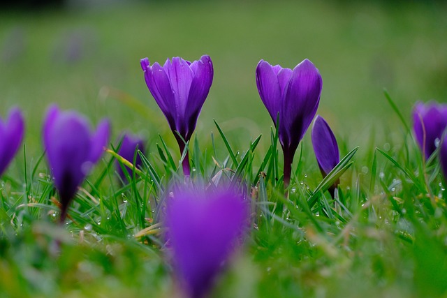 beauty-640x480-89117293.jpeg