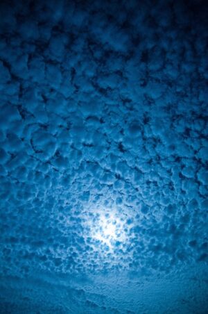 blue-640x480-3154802.jpeg