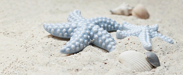 blue-640x480-69206272.jpeg