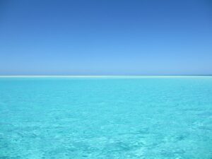 blue-640x480-81144063.jpeg