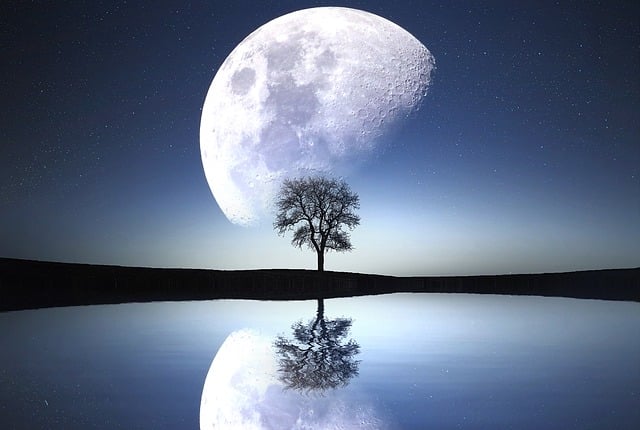 blue-640x480-94572825.jpeg