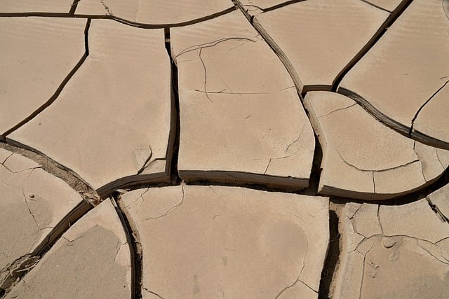 desert