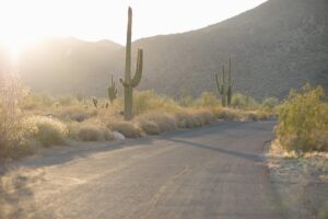 desert-640x480-13238625.jpeg