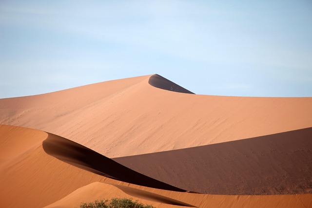 desert