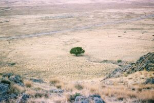 desert-640x480-17604690.jpeg