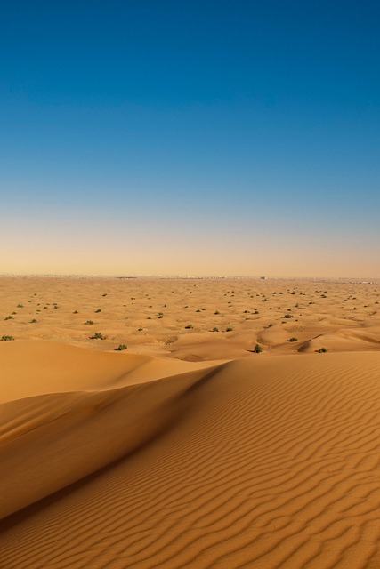 desert