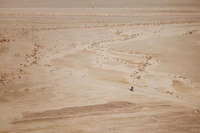 desert
