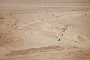 desert-640x480-48009561.jpeg
