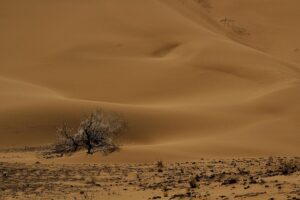 desert-640x480-54563432.jpeg