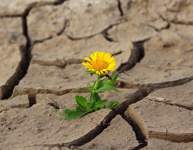 desert-640x480-68753397.jpeg