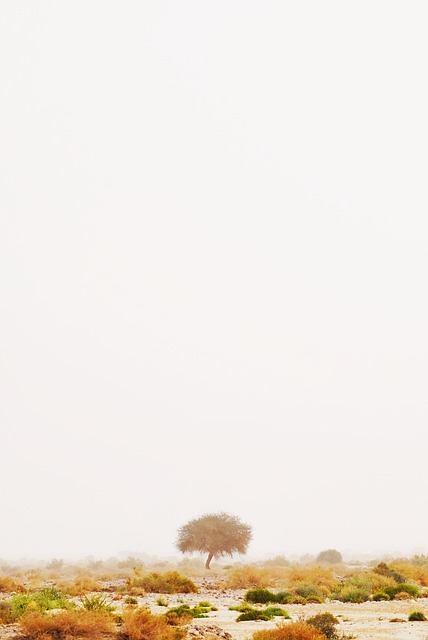 desert-640x480-76527702.jpeg