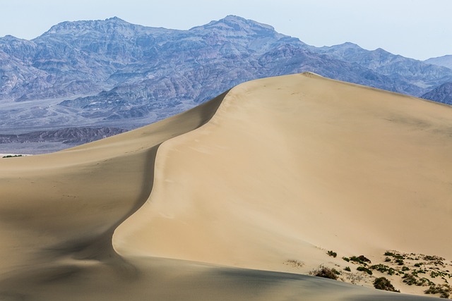 desert landscape