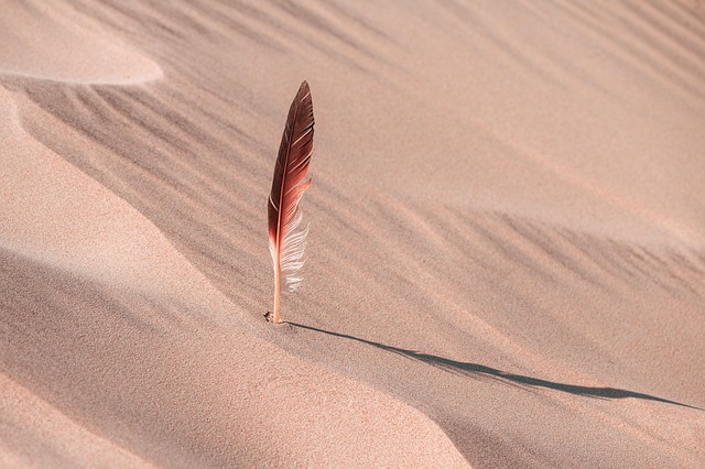 desert landscape