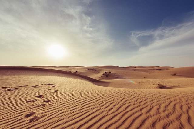 desert landscape