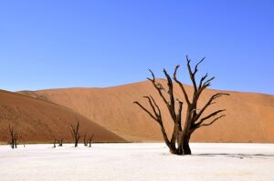 desert-landscape-640x480-28371351.jpeg