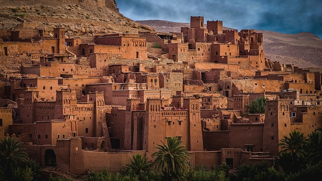 desert landscape