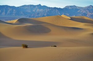 desert-landscape-640x480-30219613.jpeg