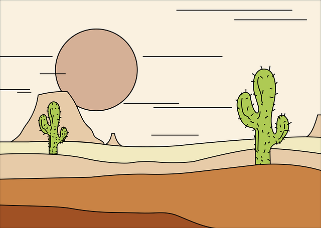 desert landscape