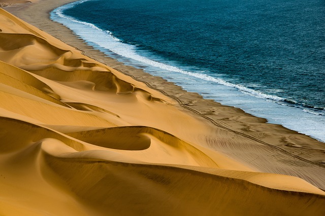 desert landscape