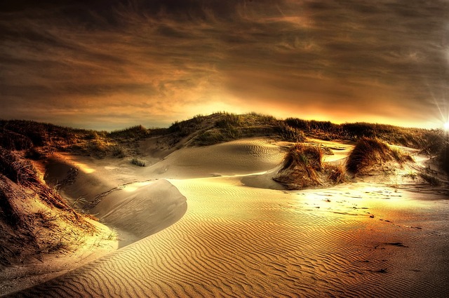 desert landscape