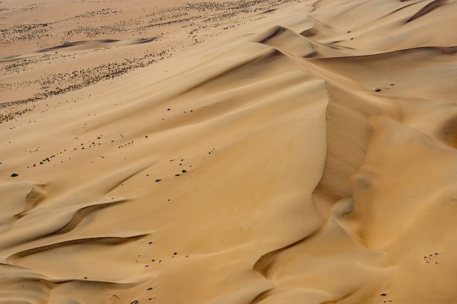 desert landscape