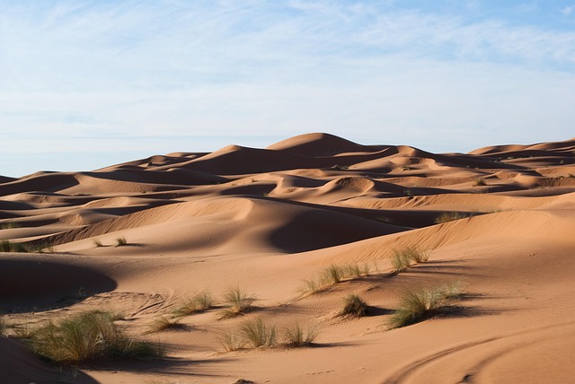 desert landscape