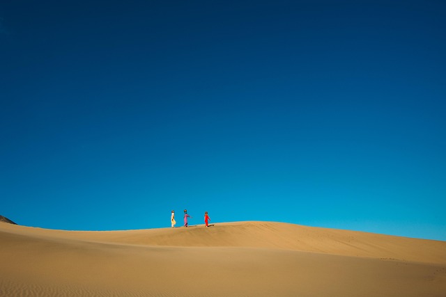 desert landscape