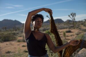 desert-landscape-640x480-69146716.jpeg