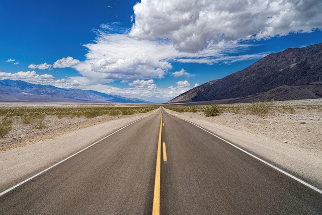 desert landscape